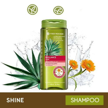 https://cdn.shopify.com/s/files/1/1857/6931/products/QGTKkJpkzm.jpg?v=1662803834